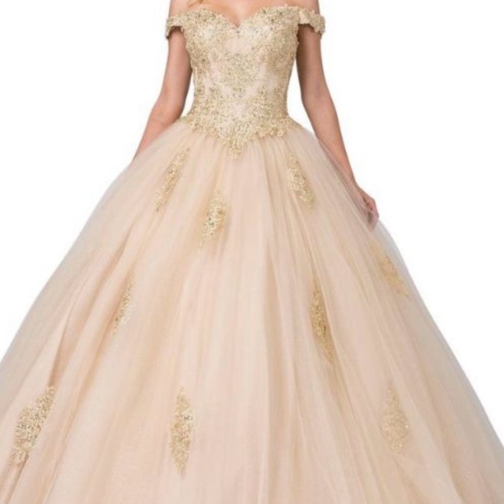 Elegant Champagne Ball Gown with Gold Embroidery
